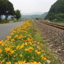 강남주-하동행(河東行) 이미지