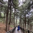 호암늘솔길 화장실 이미지