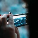 황금김밥 이미지