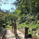 하소생활체육공원 유아숲 이미지