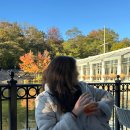 솔안공원 투나쪽 입구 | 센트럴파크 보트하우스 야외 테라스 와인 그리고 가을