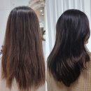 마끼에(평촌롯데백화점) | 평촌역미용실 마끼에평촌 롯데백화점에서 클리닉 하고왔어요