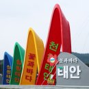 안면고등학교 | 두터운 고기의 맛이 예술이었던 안면도 고기집에서 오겹살 파티