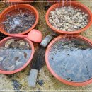 거제횟집 이미지