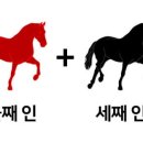 청황 이미지