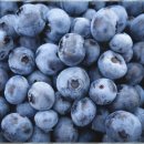 고운미소 이미지