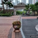 거제동 롯데캐슬아파트 이미지