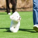 한화리조트제주 이미지