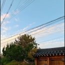 다도펜션 | 경주 황리단길 가성비 숙소 한옥스테이 소화 독채 펜션 후기