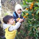 달코롬