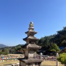 웅석봉로 | 경남 산청 아름다운 사찰 수선사 재방문 솔직 후기🐾