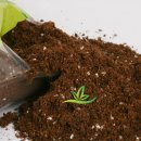 미라클팜 이미지