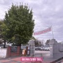 강주학교캠프 이미지