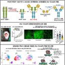 [서울대 소식] 연구 ＞ 연구성과 | 의과대학 정기훈 교수 연구팀 종양 섬유화 억제 통해 췌장암 극복 앞당긴다 2022.10.27. 이미지