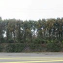 남원읍-109 이미지