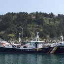 11/26 제주7화원호 갈치 조황 이미지