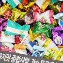 사탕 쇼핑하우