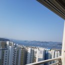 마린워시 이미지