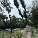 캠프 그라운드 화온 캠핑장 pine P8방문 후기 // 충남 아산 캠핑장 ⛺️🏕️🌿