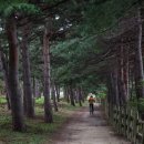 송지호 자전거대여소 이미지