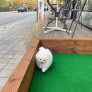 화이트폼 이미지