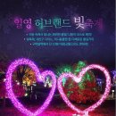 일영허브랜드 Daum카페