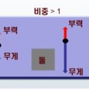 경심수중