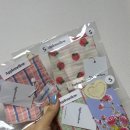 댕편한세상 | 강아지스카프 애플멜로우! 너무 귀엽잖아?! 털고민 해결!