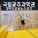 국립광주과학관 기획전시관 광주 실내 겨울체험 - 과학으로보는 스포츠 관람 후기