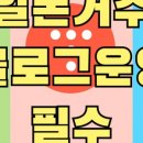 애드클라우드 | 워드프레스 애드센스 승인 후기 (1년만에)