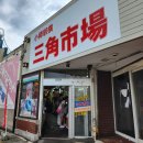 개인화물2323 | 스누피 빌리지, 오타루비어 남바원 생맥주, 구 테미야선 기찻길, 오타루역에서 삿포로역 가는방법 후기