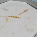 반올림피자샵배방탕정점 이미지