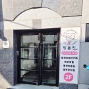 멍선생 애견카페 | 강남 논현 애견카페 추천 멍돌핀 후기 (강아지랑 힐링 데이트)