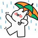 카워시서비스 이미지