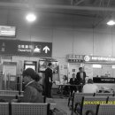 수영무도장 이미지