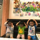 주홍농장 이미지