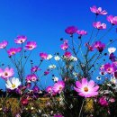 생극초등학교 이미지