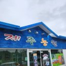 제주890 이미지