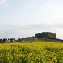 도우미식당 이미지