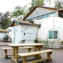 숲속의 이글루 이미지