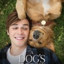 어게인 11월 이미지