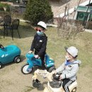 신광목장 | 천안 신광목장 맘맘스 방문 후기(6세, 4세 아들둘과 함께)