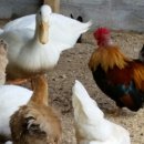 거북이동산 이미지