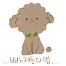 피키요거트 이미지
