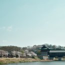 경주(부산)휴게소 화장실 이미지