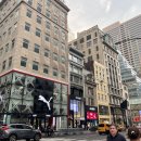 뉴욕도그랜드 이미지