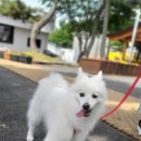 파스쿠찌 영종갤러리점
