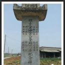 자선비 Daum카페