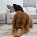 아기사랑어린이집 이미지