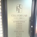 셀포랩포레
